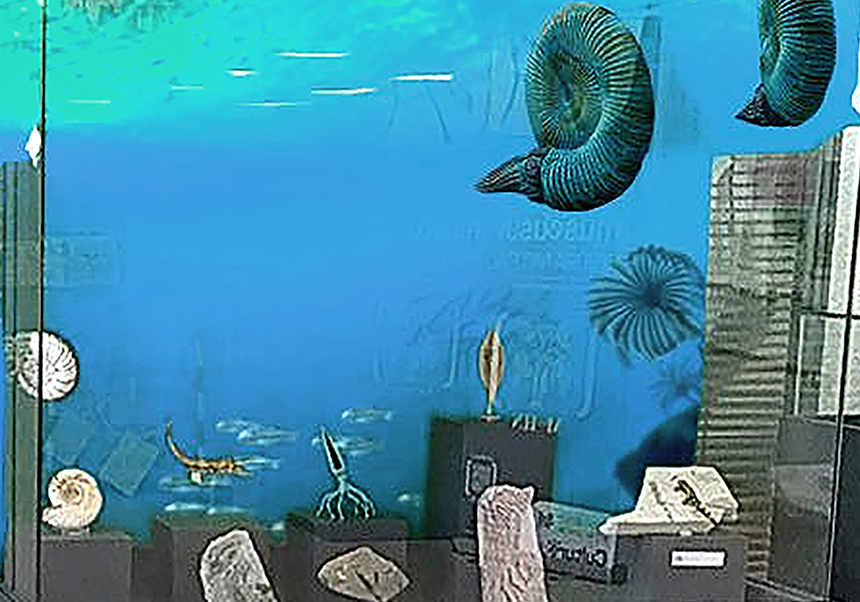 Reconstrucció digital i impressió 3d d'organismes fòssils en vida - Septembre